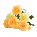 HOW-E Kunstlill Erksad dekoratiivsed kaasaskantavad 6 peaga pojengi v&otilde;lts taim pulmadeks kollane