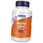 Alfa-GFC, Alfa (Gl&uuml;tserofosfokoliin), Alpha GPC 300, Now Foods 60 k&ouml;&ouml;giviljakapslit (72128029) 60vcaps