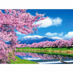 5D teemantmaali maastik ristpistes isetegemise teemanttikandid roosad kirsi&otilde;ied t&auml;is &uuml;mmarguse mosaiigikomplekt Full Round 20x30CM