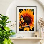 5D isetehtud teemantmaalid p&auml;evalilled ja liblikad ristpistes t&auml;ispistes teemanttikandid mosaiikkunst Pilt kividest kaunistus kingitus Full Round 20x30cm