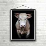 DIY teemantmaal Angry White Bull Cross Stitch Kit Mosaic Art Teemantmaal T&auml;isringi/ruudukujuline teemant Kodukaunistus Round 20x30cm