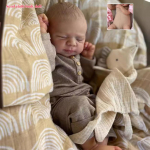 19-tolline Pascale Reborn beebinukk Pehme riidest keha Elutruu t&auml;isvin&uuml;&uuml;lkeha Vasts&uuml;ndinud nukud t&uuml;drukutele v&otilde;i poisile Elus Bebe Reborn nukk M&auml;nguasjad laste majam&auml;ngudeks cloth body