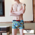 Innilu meeste hingavad s&uuml;gisese mustriga bokserid L