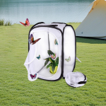 Butterfly Habitat Cage Terrarium Pop up Caterpillar Growing Lightweight for Kids and Size S