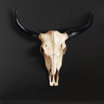 Animal Wall Sculpture Halloween Cow head Decor, Collectible Resin Longhorn for Office