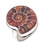 Ammonite Fossil Gemstone Handmade 925 Sterling Silver Jewelry Ring Size 10 p8q78