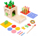 Montessori tegevustahvli karp m&auml;nguasi puidust v&auml;rvi kujusorteerimism&auml;nguasi varajane &otilde;ppimine sensoorsed m&auml;nguasjad v&auml;ikelastele peenmotoorika tegevusm&auml;nguasi
