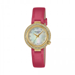 Casio meeste roostevabast terasest 50M veekindel analoog kvartsikell SHE-4565GRL-7A kuld