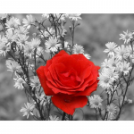 DIY k&auml;sitsi k&auml;sit&ouml;&ouml; maalimine 5D teemanttikandid k&auml;sit&ouml;&ouml; maalimine mosaiik kingitus v&auml;ike punane lille teemant 20X30CM