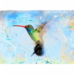 5D DIY teemantmaal  Color Hummingbird  3D kivist tikand ristpistes 20X30CM