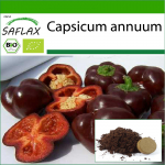 SAFLAX - Orgaaniline - Paprika - Magus &scaron;okolaad - 10 seemet - Potisubstraadiga paremaks kasvatamiseks - Capsicum annuum