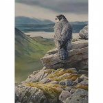 5D DIY Teemantmaaling T&auml;is&uuml;mmargune puur Eagle Teemanttikandid Mosaiik Loomade Ristpiste komplekt Rhinestone Kodukaunistus Seinakunst Full Round 20x30CM