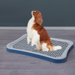 Pritsmevastane eemaldatav v&otilde;rega kutsikapoti kandik koos uriinikolonniga lemmikloomatreening