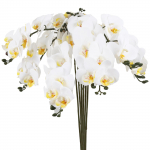 6 tk Kunstlik orhideevarred kunstlikud Phalaenopsis lilled Real Touch Orhideed Kunstlillede varred kodukaunistuseks valge