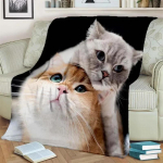 Soe ja hubane armas kassi mustriga flanelltekk diivanile, voodile, diivanile, kontorisse - pehme ja rahustav digitaaltr&uuml;kiga visketekk 30x40in