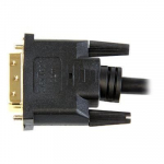 C&acirc;ble adaptateur HDMI vers DVI-D - STARTECH - 2m - Plaqu&eacute; or must