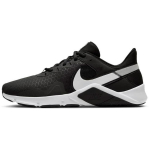 Nike Legend Essential 2 Must Valge CQ9356-001 40
