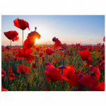 T&auml;ielik 5D-teemantmaaling multifilm maastik lilletikandid ristpistes kodukaunistus K&auml;sitsi valmistatud 25x30cm