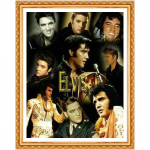 Elvis Photo Full Drill Rhinestone teemantmaaling 3D ristpistes komplektid Kodu Tikand N&auml;put&ouml;&ouml; 20X30CM