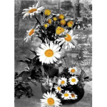 T&auml;ielik &uuml;mmargune 5D DIY Teemantmaaling Daisy Flowers Teemantmosaiikkingitus Teemanttikandid 20X30CM