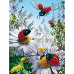 Teemantmaal T&auml;is &uuml;mmargune ruudukujuline p&auml;ikeset&otilde;us maastik seemik 5D DIY Teemanttikandid Ristpistes &Ouml;&ouml;p&auml;kapikud mosaiik seinakunst t&uuml;drukule kingitus Full Round 20X30CM punane