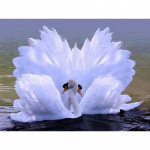 Uus 5D DIY Teemantmaaling Luik Teemanttikandid Luikede J&auml;rv ristpistes T&auml;isruudukujuline &uuml;mmargune puur Kodukaunistus K&auml;sitsi Kunst Kingitus Full Round 15x20CM