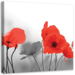 L&otilde;uenditr&uuml;kk Red Summer Poppies Nature Grey 30x30 punane