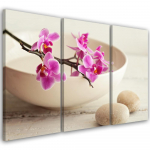 Kolmeosalise pildiga l&otilde;uendiprint Orchid Bowl Flowers Beige 60x40 beež