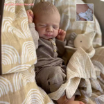 19-tolline Pascale Reborn beebinukk Pehme riidest keha Elutruu t&auml;isvin&uuml;&uuml;lkeha Vasts&uuml;ndinud nukud t&uuml;drukutele v&otilde;i poisile Elus Bebe Reborn nukk M&auml;nguasjad laste majam&auml;ngudeks full silicone boy