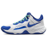 Nike Fly.By Mid 3 Valge Game Royal Meeste Tossud Green-Glow DD9311-102 43 white
