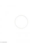Cercle nu en m&eacute;tal - 8 cm de diam&egrave;tre Cercle pour cr&eacute;ations diverses : - Diam&egrave;tre : 8 cm - Couleur : Blanc - Mati&egrave;re : M&eacute;tal