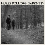 LP plaat DELIA GONZALEZ - Horse Follows Darkness DFA2522 DFA 2017 USA Tants & Elektroonika