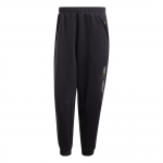 Adidas X Terrex X National Geographic FW24 Aeroready L&otilde;tv l&otilde;ige Kirjaga Vabaaja soonikuga kootud spordip&uuml;ksid Meeste p&uuml;ksid Must JJ4360 2XL