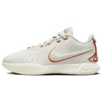 Nike LeBron 21 EP Akoya tossud FV2346-001 38