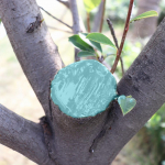 Puuvillaseemne tihendaja Puuvillaseemne tihendaja Paranduspasta Kiire taastumise plaaster Pookimispasta Roosid Erinevad lilled Bonsaipuu CHINA