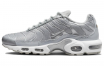 Nike Air Max Plus Metallik H&otilde;be FJ1012-095 40