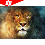 Teemantmaal ristpistes 5D toakaunistus L&otilde;vi K&auml;sit&ouml;&ouml; Teemantmosaiiktikandid DIY 20X30