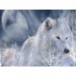 Teemantmaal Ristpistes Valge hunt Teemanttikandid Teemantmosaiikpilt Rhinestone 20X30CM