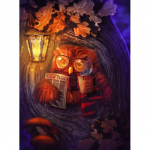 T&auml;isteemanttikandid Loomade &ouml;&ouml;lugemine &Ouml;&ouml;kull 5D Teemantmaali Ristpiste 20X30CM