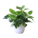 Potis kunstlikud bonsai v&otilde;ltsrohelised taimed du&scaron;ik&ouml;&ouml;gi riiuli kaunistamiseks 2#