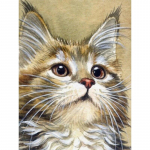 Uus 5D DIY Teemantmaaling Armas kass Teemanttikandid Loomad Ristpistes T&auml;isruudukujuline &uuml;mmargune puur Kodukaunistus K&auml;sitsi Kunst Kingitus Full Round 20x30CM