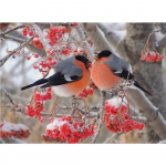 DIY 3D teemantmaaling loomalindude tikandid ristpistes k&auml;sit&ouml;&ouml;na kodukaunistus Full Round 20x25CM