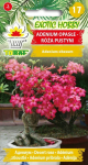 Adenium Lethargic Desert roos 5 tk. puu seemned