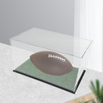 Akr&uuml;&uuml;l jalgpalliekraan vitriin tolmukindel m&auml;lestusesemete palli hoidja jaoks with grass