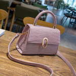 Naiste kott Uus Crossbody kott K&auml;eshoitav v&auml;ike kandiline kott Moodne &otilde;lakott 24x8x14cm valge