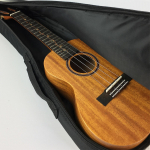 Ukulele Case polsterdatud kott veekindel kandesangaga seljakott 21