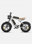 ENGWE M20 Electric Bicycle 750W Motor, 2*48V 13Ah Battery, Dual Suspensions, 20*4.0 Inch Tires, 75KM Range E-Bike 2*48V 13Ah valge