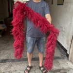 DIY Must-valge jaanalinnusuled Boa 1/2 meetrit pikk Jaanalinnusuled Salli pulmapeo kleidi &otilde;mblemiseks R&otilde;ivaste kaunistus Sall 6PLY 50CM burgundiapunane