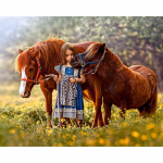 Teemantmaal Tikandid T&uuml;drukule Hobuse Ristpistes Rhinestone Mosaiic Kodukaunistuse kingitus 20X30CM