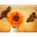 Teemanttikandid Lill p&auml;evalill liblikas kristallmaal Teemantmaaling lill lillekivi 20X30CM